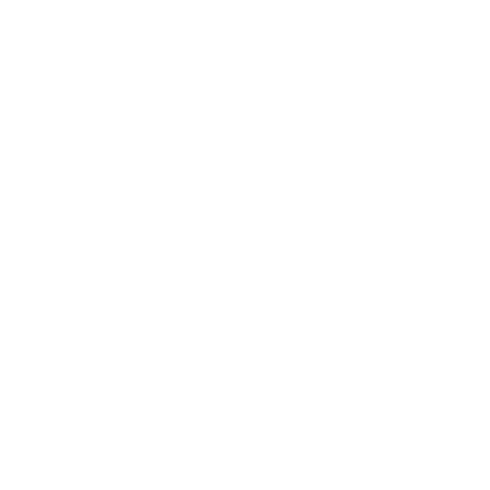 LOGO-BLANC.png