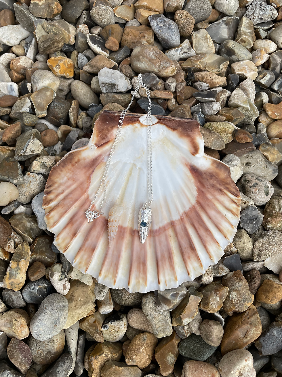 Thumbnail: Long spiral cone seashell