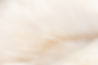 iStock-1176268169.jpg