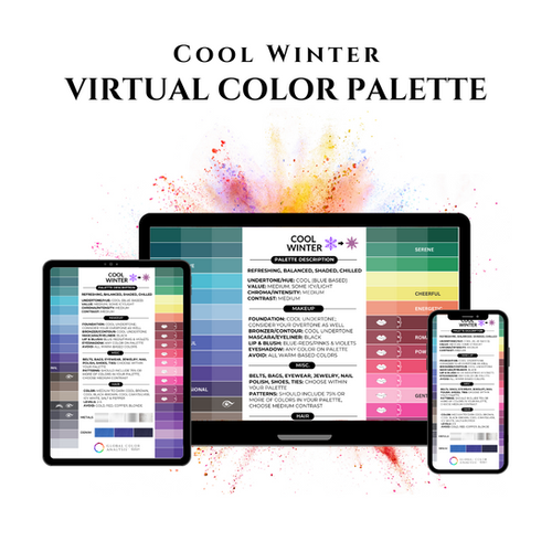 Digital Color Systems Cool Winter: Digital Color Swatch (Not for consultant use ...