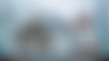 « They Will Kill You »