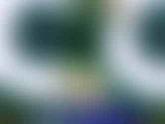 Virada Palestrina garante vitória do Palmeiras sobre o Ceará no Allianz Parque