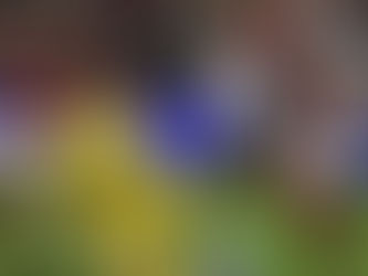 Libertadores: Corinthians tem 90 minutos para buscar a classificação fora de casa