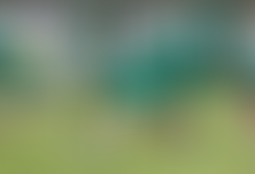 Palmeiras inicia preparação para enfrentar o Fluminense; Andreas Pereira não joga