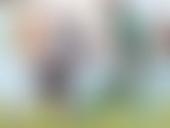 Palmeiras vence Botafogo na prorrogação e avança às quartas de final do Mundial de Clubes da FIFA