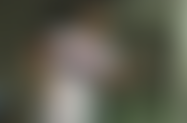 Ídolo do São Paulo, Hernanes anuncia aposentadoria dos gramados