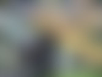 Medina amarga primeira derrota no Inter: "Muitas decisões erradas"