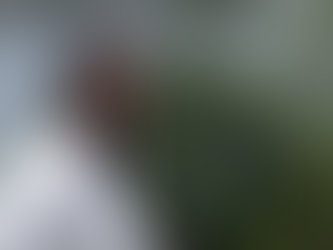 Clima leve e presença do "gêmeo" de Memphis: como foi o último treino do Corinthians no ano