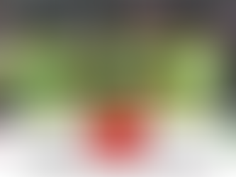 Imprensa estrangeira exalta trio do Brasil em goleada sobre a Coreia do Sul: "Letal"