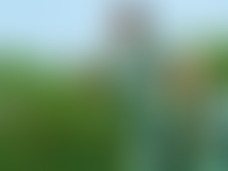 Fred confirma aposentadoria em julho no Fluminense: 'Realizei meu sonho'