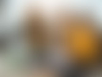 Gestational Surrogacy is Now Legal in New York