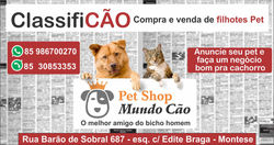 Tela_Institucional___Promo_Trilegal_Mundo_Cão__Classificão