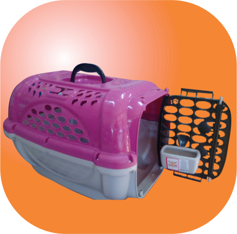 Caixa Transporte R$ 69,99