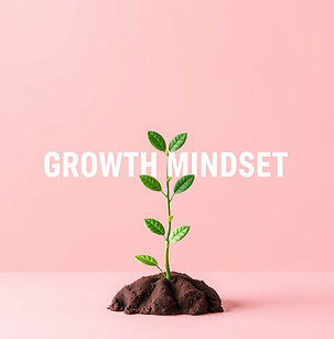 a soil and plant growing with growth mindset words