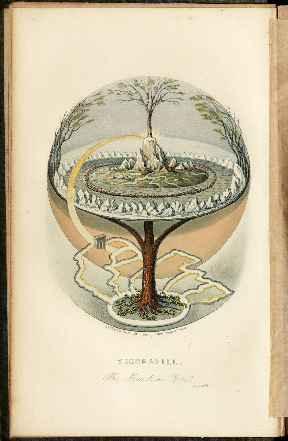 See, the universe is a giant tree...