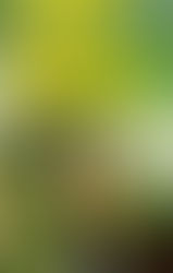 Episode 4: The King of Elfland’s Worm or The Fields We Know