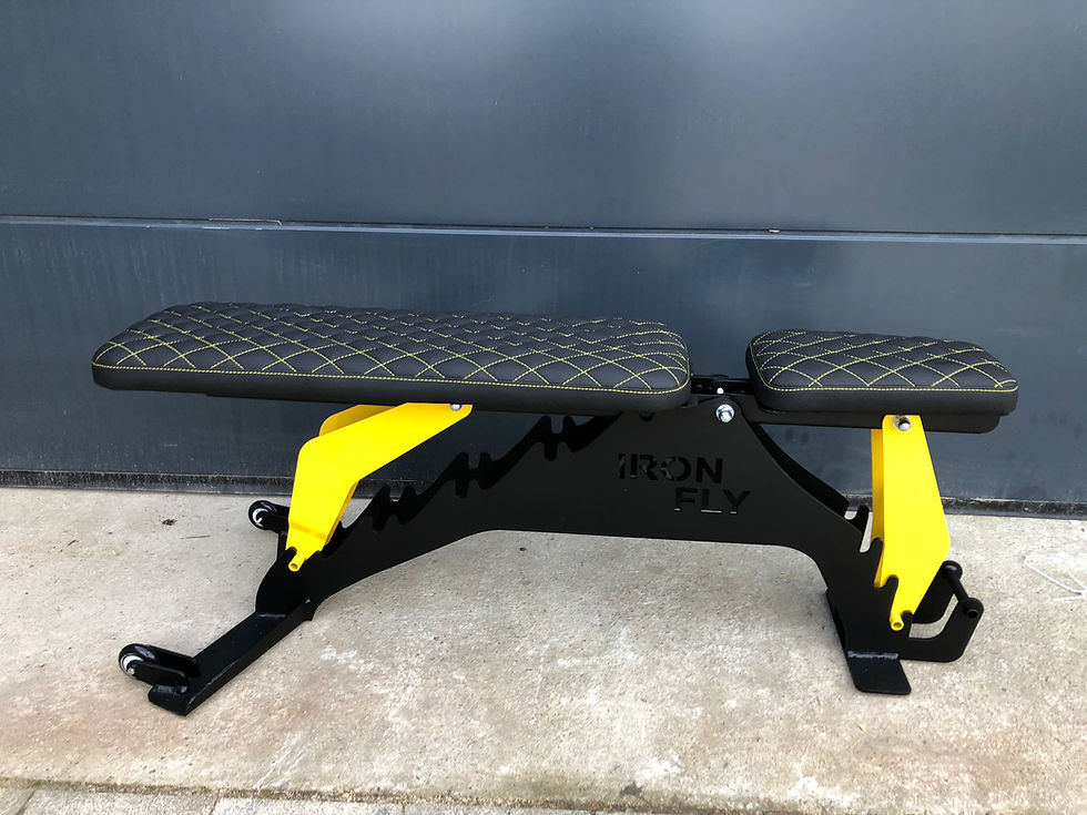 Miniatura: Ławka treningowa IRON FLY Premium Gentleman