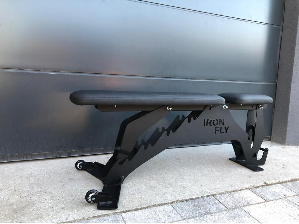 Miniatura: Ławka treningowa IRON FLY Premium