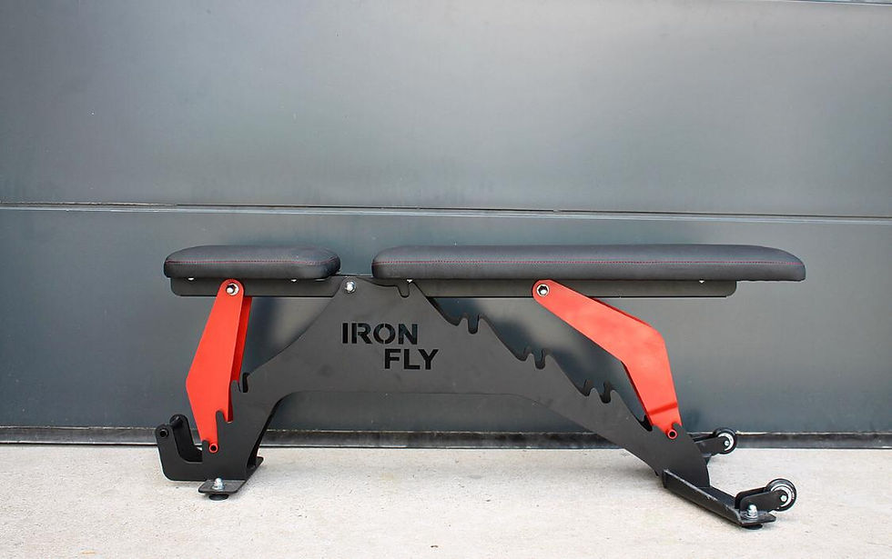 Miniatura: Ławka treningowa IRON FLY Premium