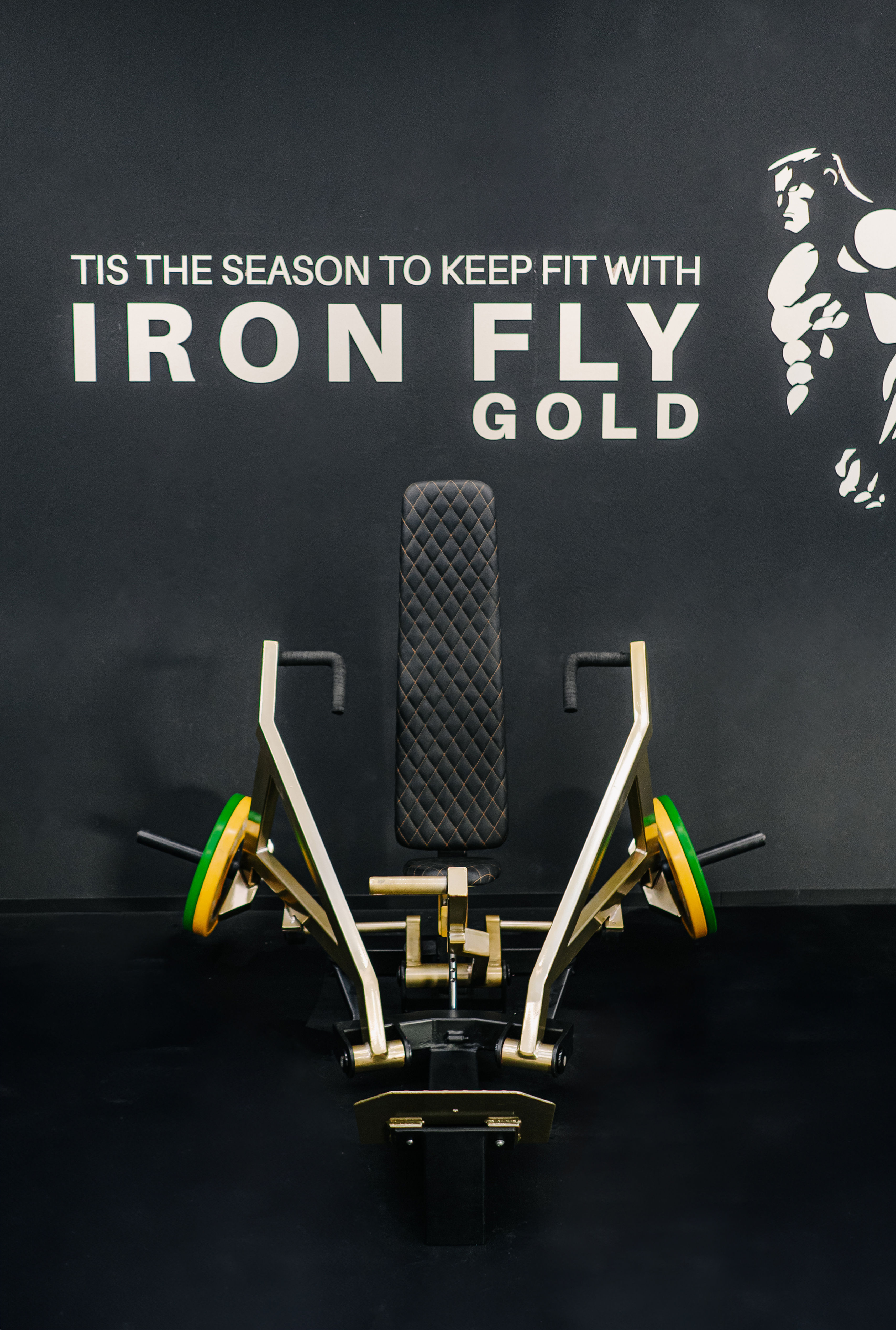 Maszyna na klatkę piersiową - Polska produkcja, Iron Fly