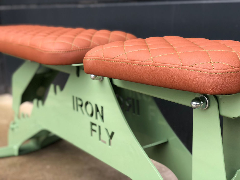 Miniatura: Ławka treningowa IRON FLY Premium Special