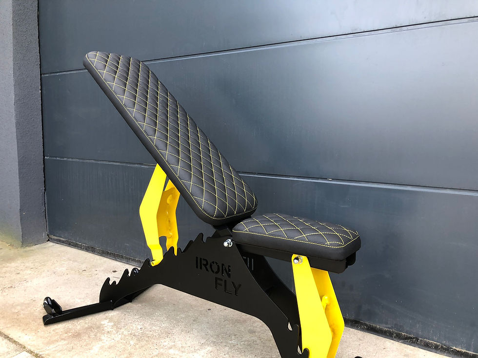 Miniatura: Ławka treningowa IRON FLY Premium Gentleman