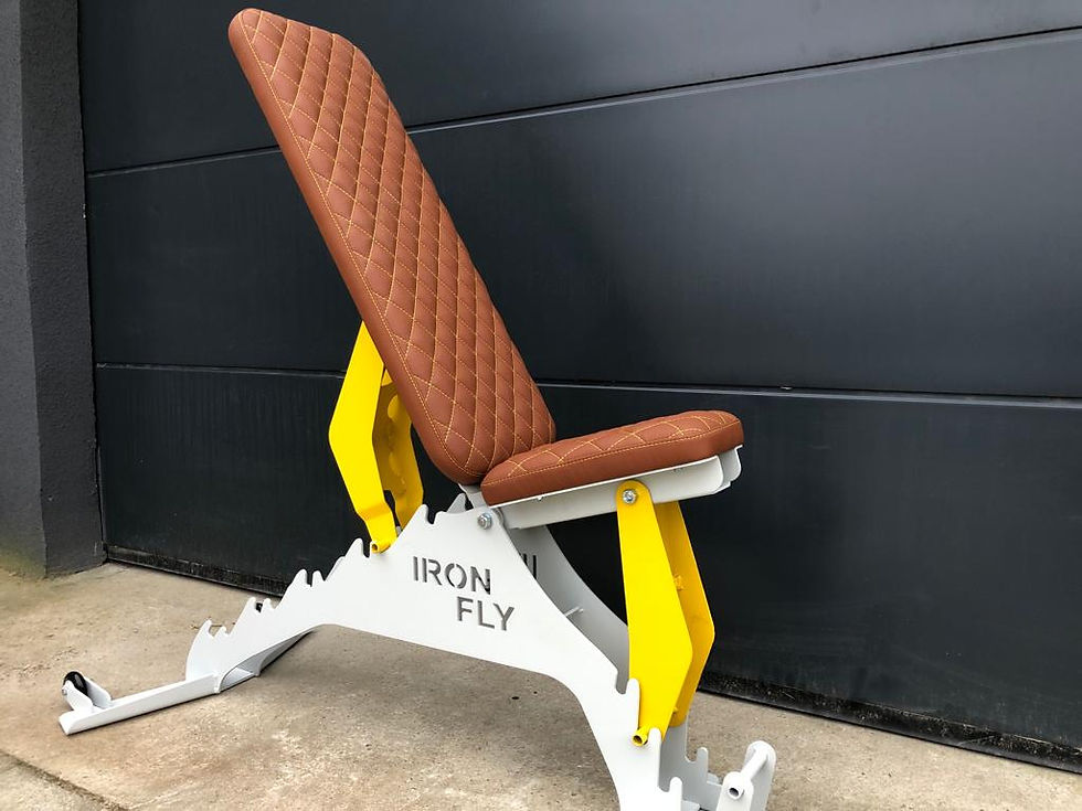 Miniatura: Ławka treningowa IRON FLY Premium Special