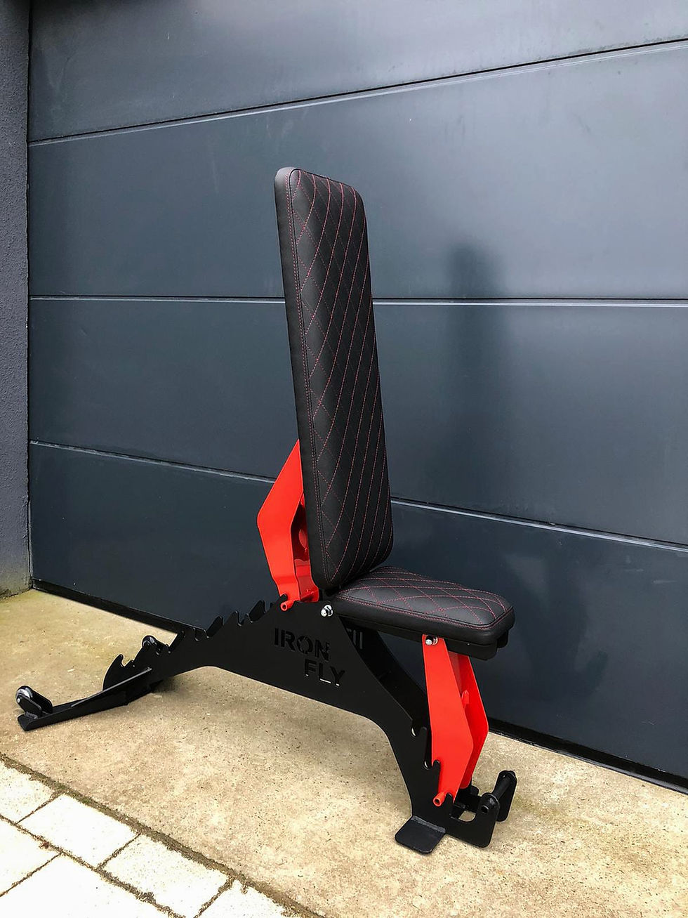 Miniatura: Ławka treningowa IRON FLY Premium Gentleman