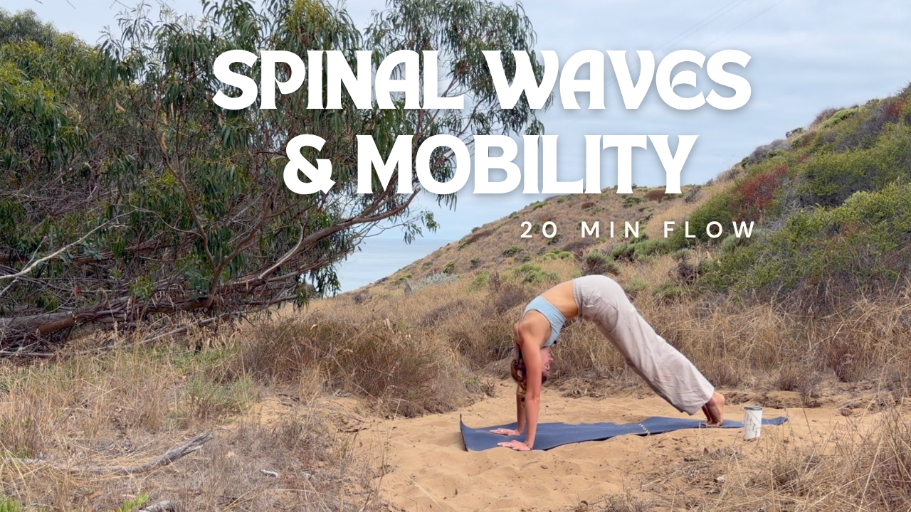 Spinal Waves Mobility