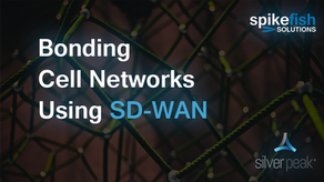 Bonding Cell Networks Using SD WAN - Part 1