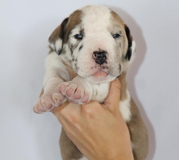 343593651_747478857162949_68874607059109