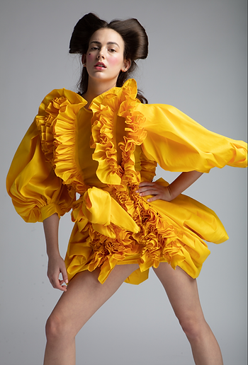 Screen Shot 2020-03-01 at 10.12.21 AM.png