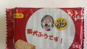 オリジナルビスコ！