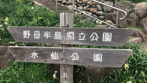 のもざき水仙まつり！