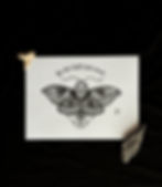 Thumbnail: Lantern Luna Moth Quote Print