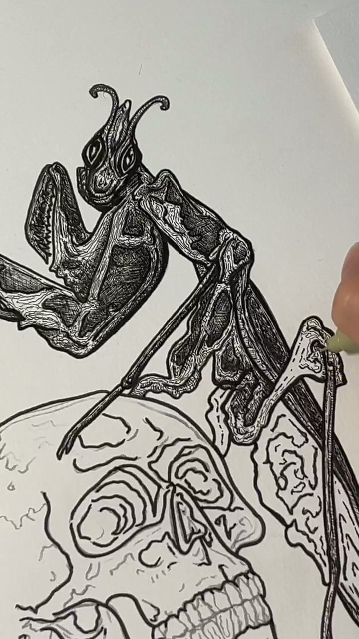 Thumbnail: "𝕱𝖑𝖔𝖗 𝕸𝖔𝖗𝖙𝖎𝖘" Print