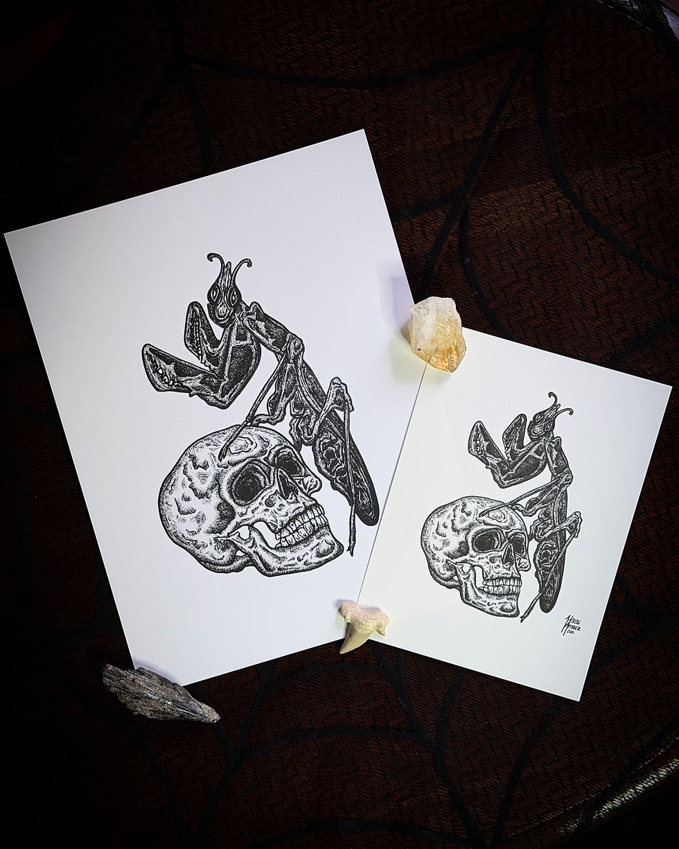 Thumbnail: Flor Mortis Praying Mantis Skull print