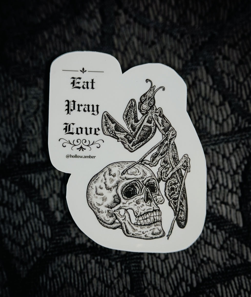 Thumbnail: "𝕱𝖑𝖔𝖗 𝕸𝖔𝖗𝖙𝖎𝖘" Stickers