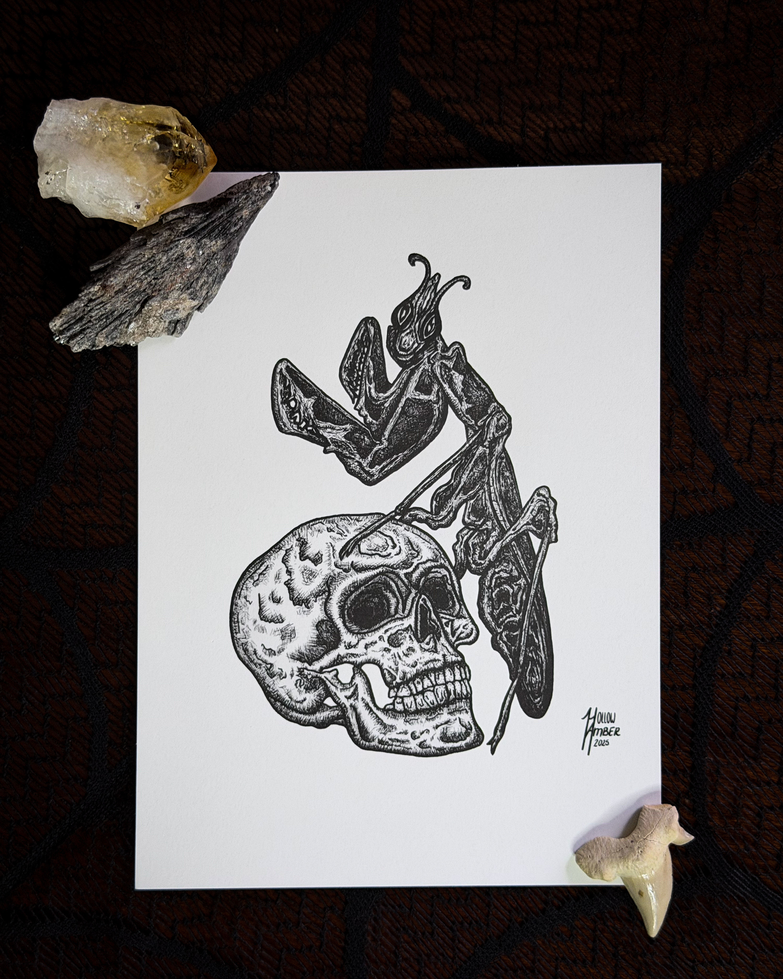 "π±πππ πΈπππππ" Print