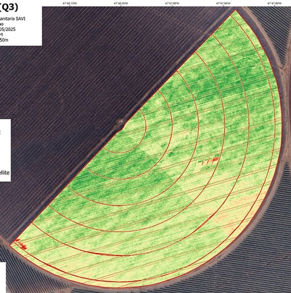 AAS NDVI Mapping