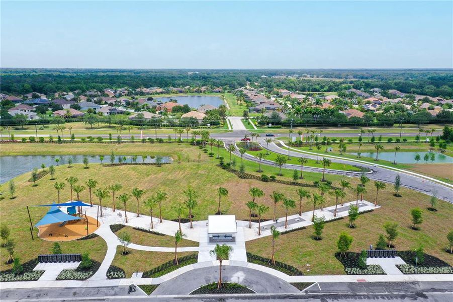 Community pool and amenity center at The Reverie Parrish Florida