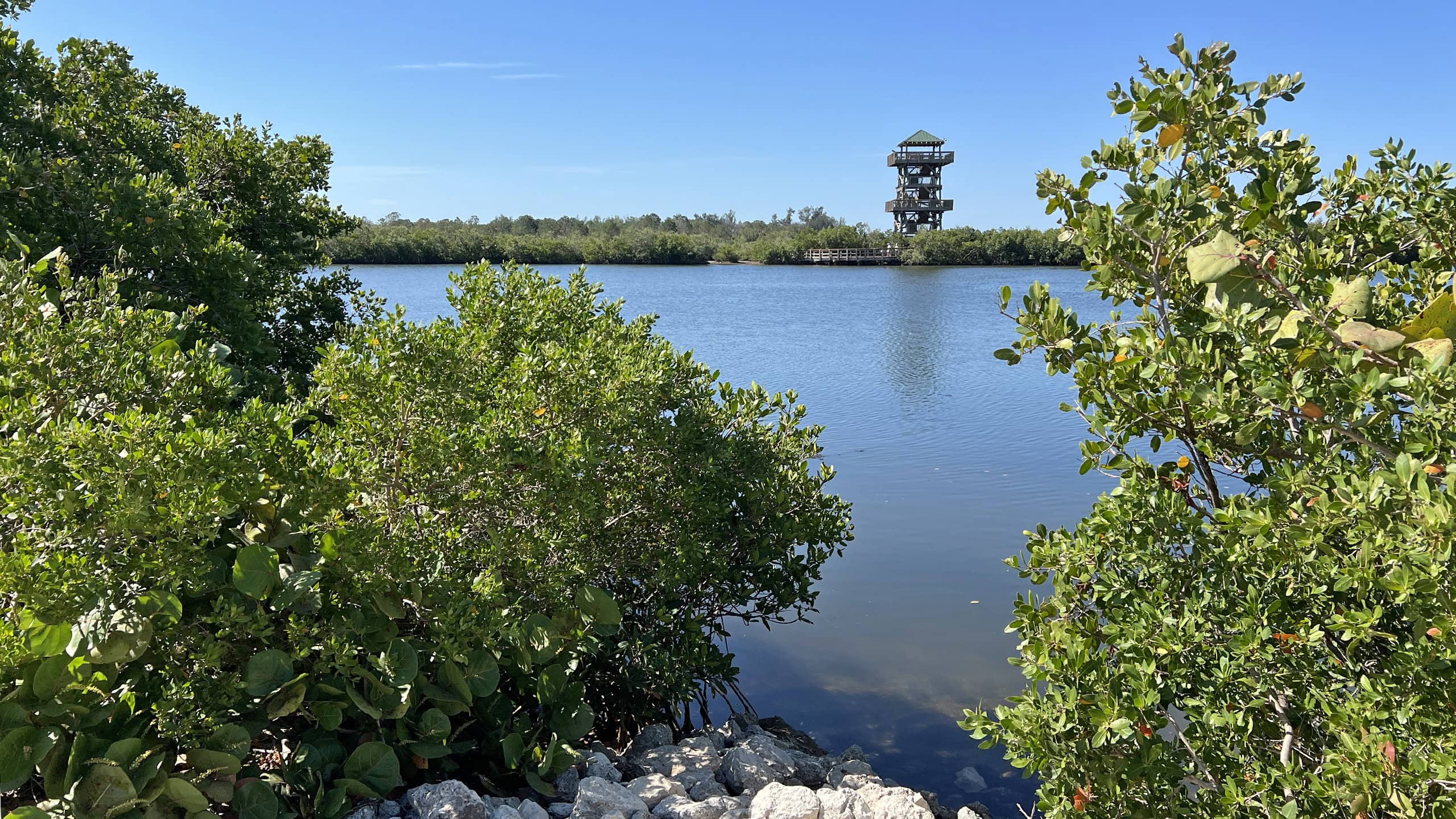 Robinson Preserve observation tower near Palma Sola Park — a key outdoor amenity that sets West Bradenton apart