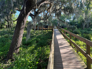 Snead Island vs Terra Ceia: Which Waterfront Community Is Right for You?