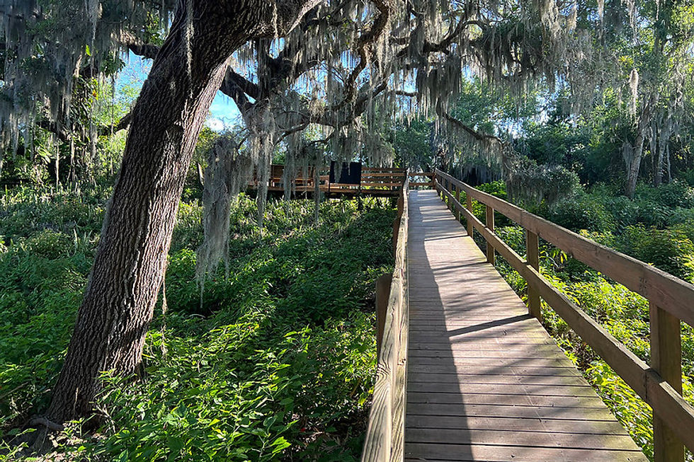 Boardwalk ramp leading to the Portavant Mound, an ancient temple mound at Emerson Point Preserve on Snead Island