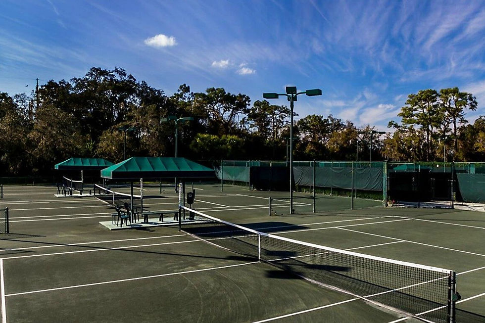 Har-Tru tennis courts at Rosedale Golf and Country Club