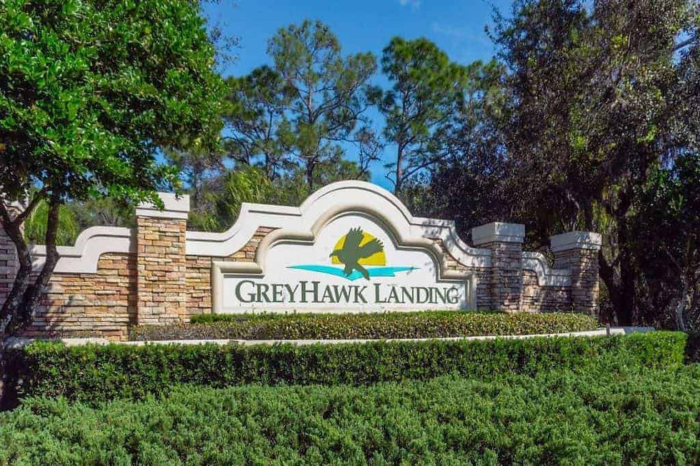 greyhawk-landing-hero.jpg