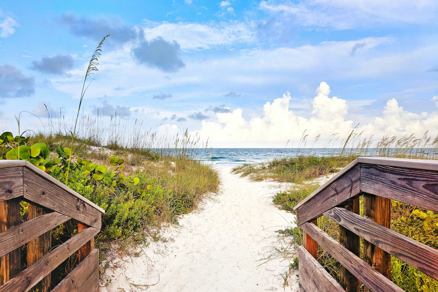 Natural beachfront along the Sarasota County Gulf Coast shoreline