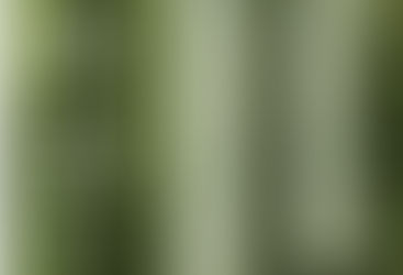 Boost Volume and Shine with Aveda Pure Abundance™ Volumizing Conditioner