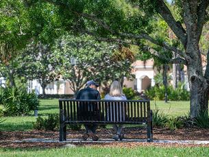 University Park Homes for Sale: A Buyer’s Guide