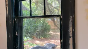 Antique Window Restoration